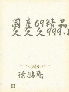 国产69精品久久久久999小说