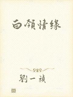 白领情缘