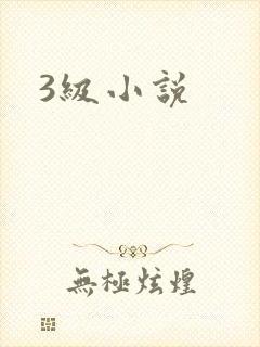 3级小说
