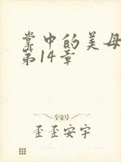 掌中的美母版主第14章