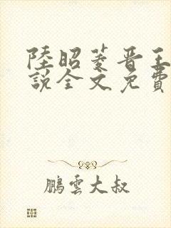 陆昭菱晋王的小说全文免费阅读