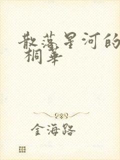散落星河的记忆 桐华