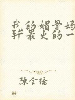 我的媚骨妈妈林轩最火的一句