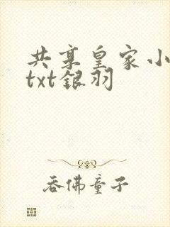 共享皇家小公主txt银羽