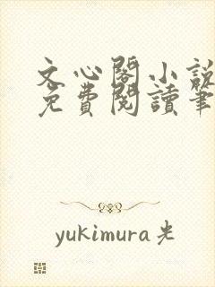 文心阁小说全文免费阅读笔趣阁