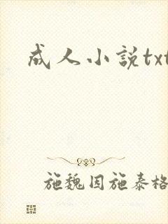 成人小说txt