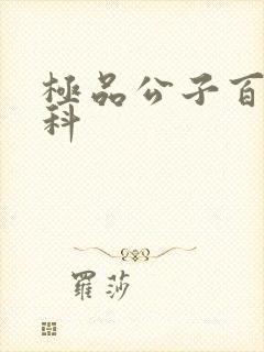 极品公子百度百科