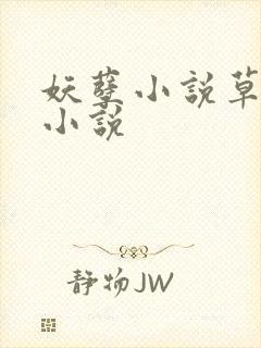 妖孽小说草莓酱小说