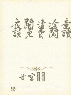 夜阑清冷意欢小说免费阅读