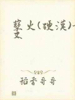 孽火(硬汉)今又