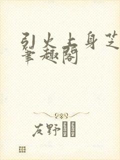 引火上身芝麻糖笔趣阁