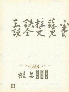 王铁柱苏小汐小说全文免费阅读最新章节