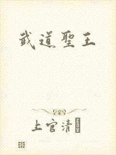武道圣王