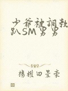 少爷被调教室跪趴SM男男