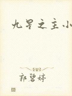 九星之主小说