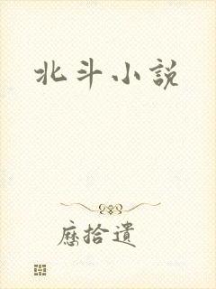 北斗小说