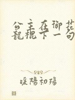 公主在御花园吃龙棍下一句