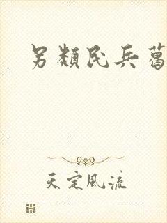 另类民兵葛二蛋