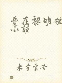 爱在黎明破晓前小说