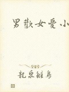 男欢女爱小说