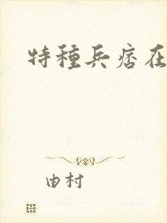特种兵痞在都市