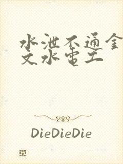 水泄不通金银原文水电工