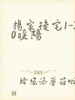 杨家后宅1-20暖阳