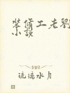 装修工老刘林雪小说