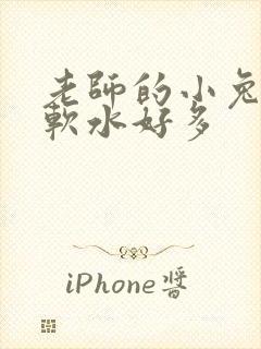 老师的小兔子好软水好多
