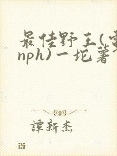 最佳野王(电竞nph)一坨薯饼