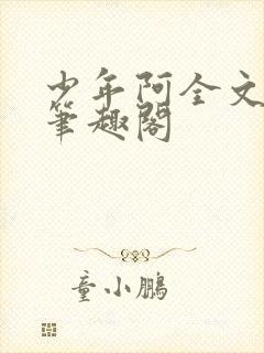 少年阿全文免费笔趣阁