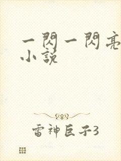 一闪一闪亮星星小说