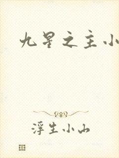 九星之主小说