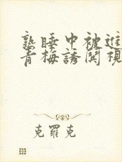 熟睡中被进了H青梅诱哄视频