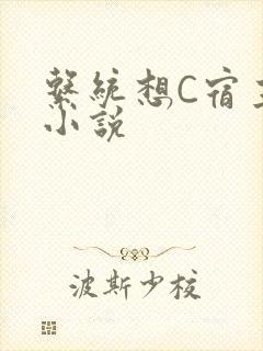 系统想C宿主的小说