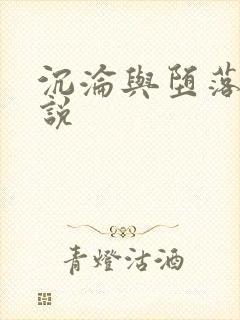 沉沦与堕落的小说