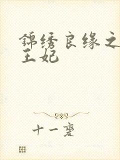 锦绣良缘之北地王妃