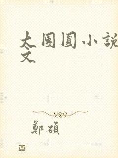 大团圆小说集全文