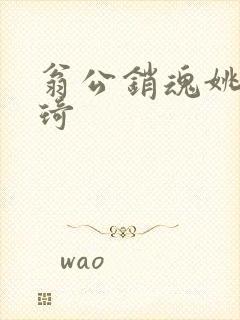 翁公销魂姚瑶琦琦