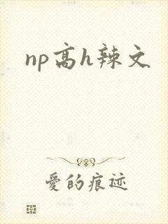 np高h辣文