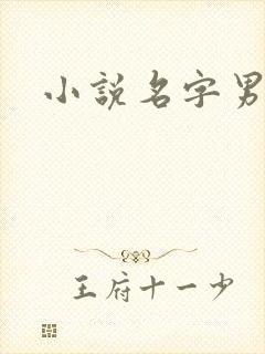 小说名字男生