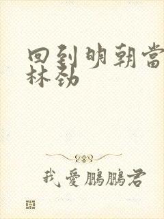 回到明朝当王爷林劲