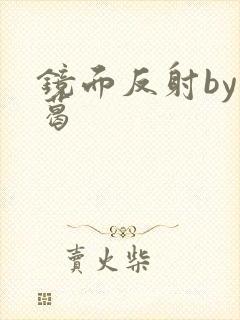 镜面反射by九葛