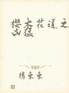 樱木花道之重生凶猛