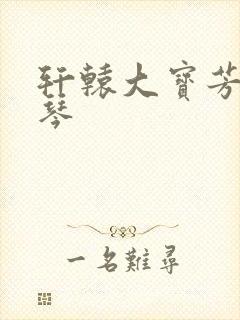 轩辕大宝芳菲雅琴