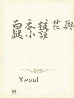 白衣校花与大长腿小说