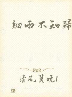 细雨不知归