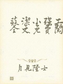 苏洁小强工地情全文免费阅读