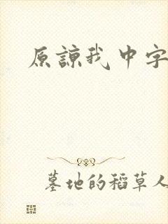 原谅我中字