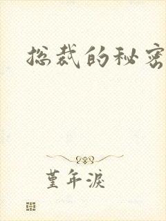 总裁的秘密情人